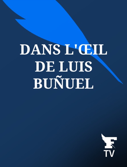 Le Figaro TV - Dans l'œil de Luis Buñuel