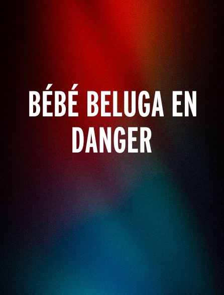 Bébé beluga en danger