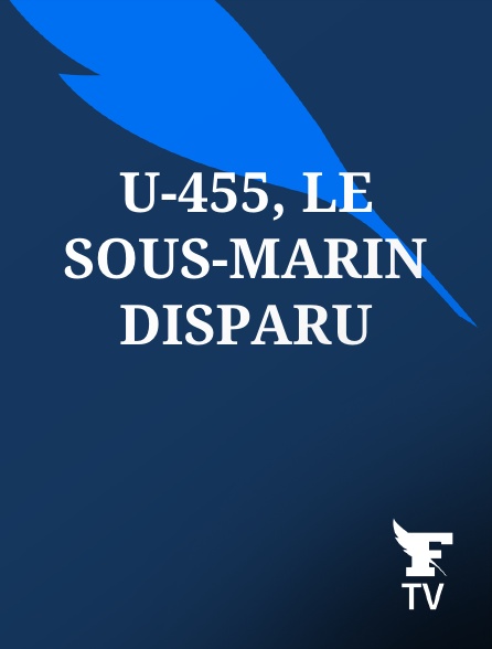 Le Figaro TV - U-455, le sous-marin disparu