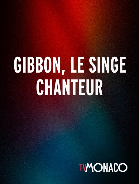 TV Monaco - Gibbon, le singe chanteur