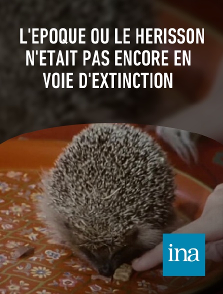 INA - L'époque où le hérisson n'était pas encore en voie d'extinction