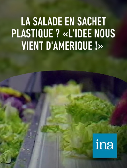 INA - La salade en sachet plastique ? «L'idée nous vient d'Amérique !»