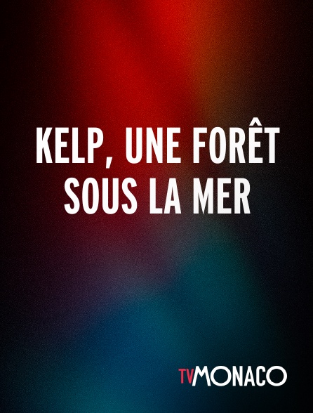 TV Monaco - Kelp, une forêt sous la mer