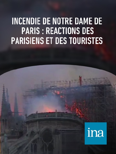 INA - Incendie de Notre Dame de Paris : réactions des Parisiens et des touristes