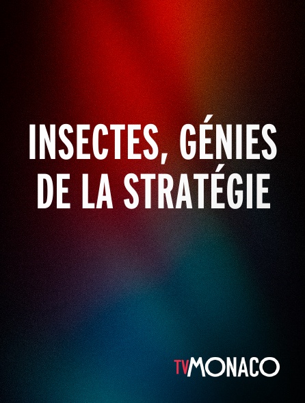 TV Monaco - Insectes, génies de la stratégie