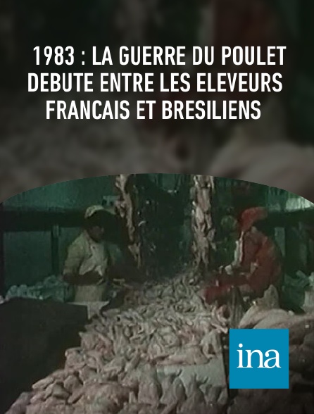 INA - 1983 : la guerre du poulet débute entre les éleveurs français et brésiliens