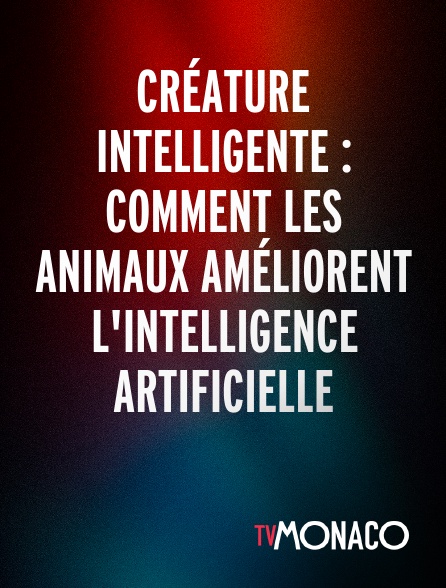 TV Monaco - Créature intelligente : Comment les animaux améliorent l'intelligence artificielle
