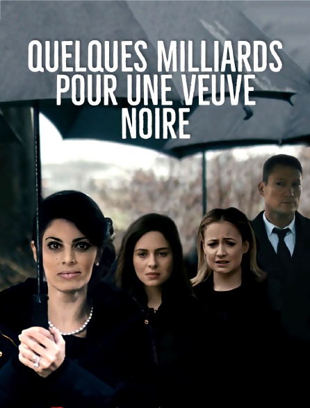 Film Quelques Milliards Pour Une Veuve Noire Quelques milliards pour une veuve noire en Streaming - Molotov.tv