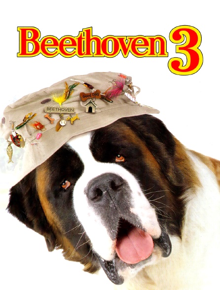 Beethoven 3 Streaming Vf Beethoven 3 en Streaming - Molotov.tv