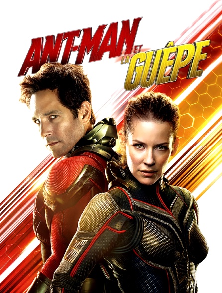Ant Man Et La Guêpe Résumé Ant-Man et La Guêpe en Streaming - Molotov.tv