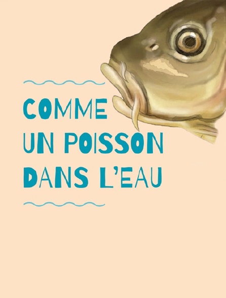 Comme Un Poisson Dans L Eau En Anglais Comme un poisson dans l'eau en Streaming - Molotov.tv