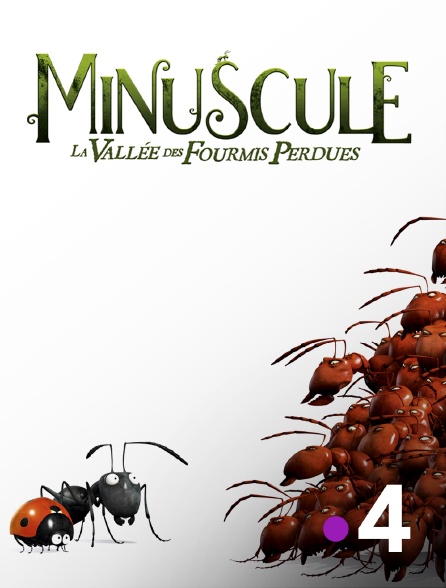 Minuscule La Vallée Des Fourmis Perdues Streaming Minuscule : la vallée des fourmis perdues en Streaming sur France 4