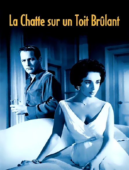 Film Une Chatte Sur Un Toit Brulant La chatte sur un toit brûlant en Streaming - Molotov.tv