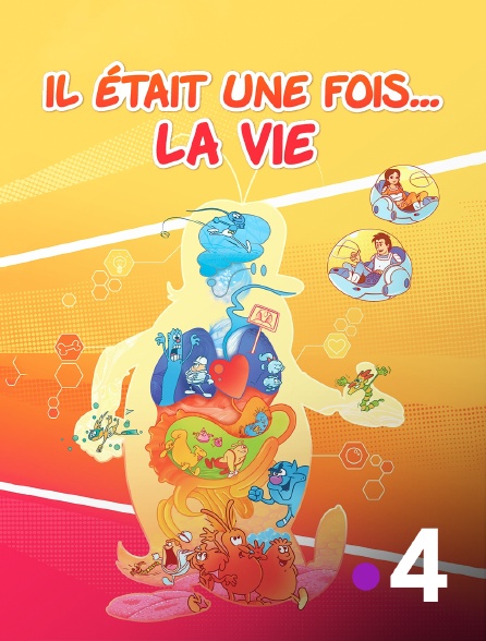 Il était Une Fois La Vie Streaming Il était une fois... la vie en Streaming sur France 4 - Molotov.tv