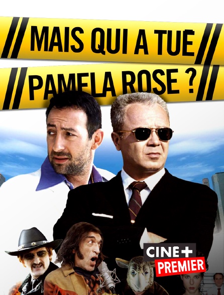 Mais Qui A Tué Pamela Rose Streaming Mais qui a tué Pamela Rose ? en Streaming & Replay sur Ciné+ Premier