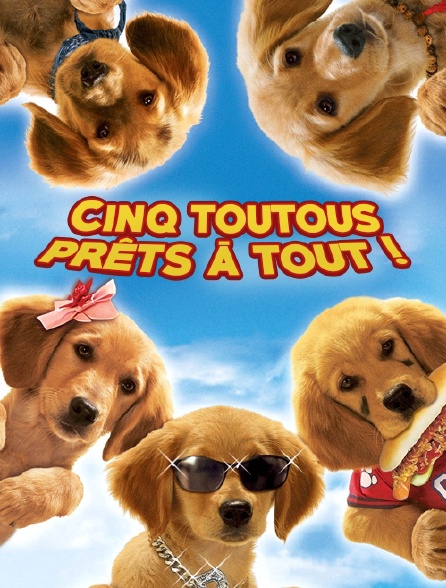 5 Toutous Prêts A Tout Cinq toutous prêts à tout ! en Streaming - Molotov.tv
