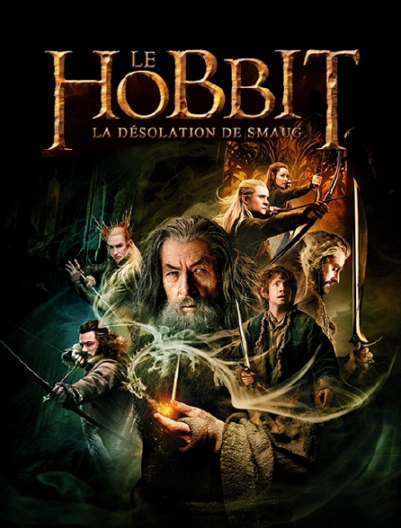 Le Hobbit La Désolation De Smaug Streaming Gratuit Le Hobbit : la désolation de Smaug en Streaming - Molotov.tv