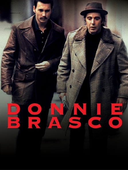 Film Donnie Brasco Streaming Vf Donnie Brasco en Streaming - Molotov.tv