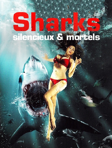sharks silencieux et mortels