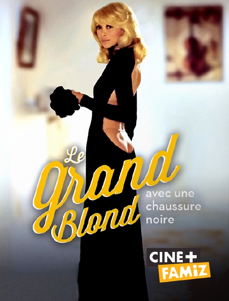 Le Grand Blond Avec Une Chaussure Noire Film Streaming Le grand blond avec une chaussure noire en Streaming & Replay sur Ciné