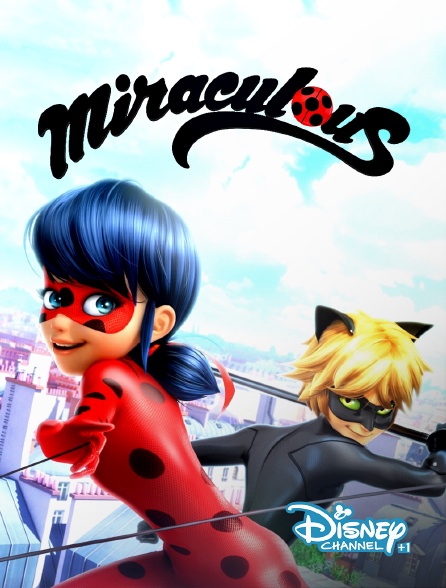 Miraculous Les Aventures De Ladybug Et Chat Noir En