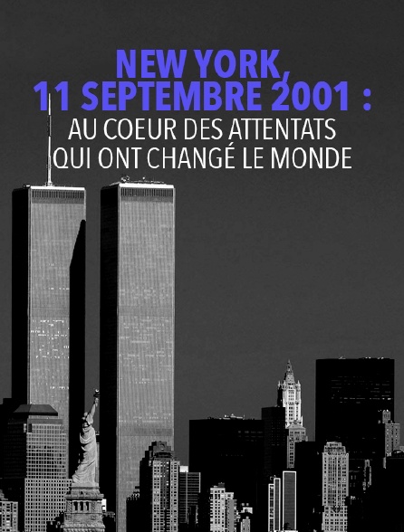 New York 11 Septembre Naudet Streaming New York, 11 septembre 2001 : au coeur des attentats qui ont changé le