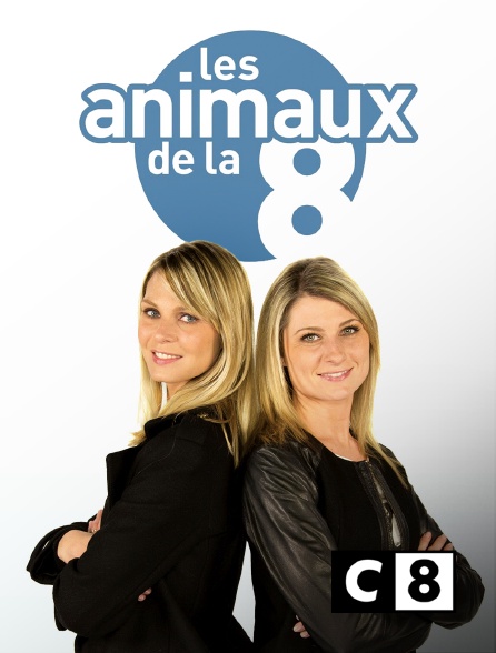 Les Animaux De La 8 En Streaming Sur C8 Molotovtv