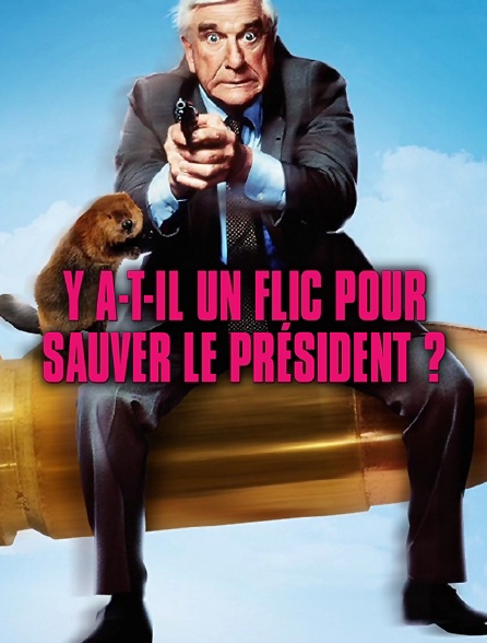 Ya T Il Un Flic Pour Sauver Le President Y a-t-il un flic pour sauver le président ? en Streaming - Molotov.tv