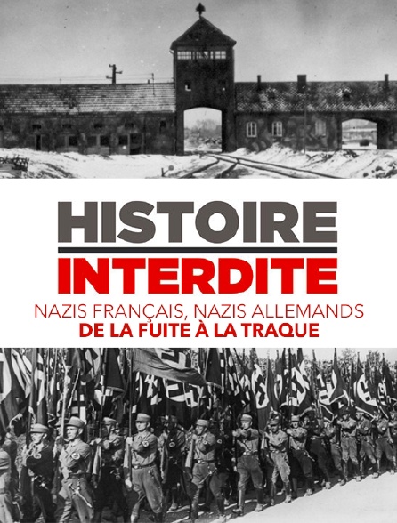 histoire interdite nazis français nazis allemands de la fuite à la traque