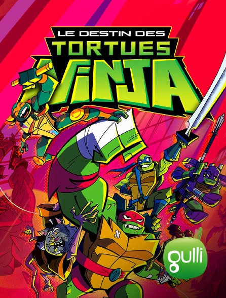 Le Destin Des Tortues Ninja Streaming