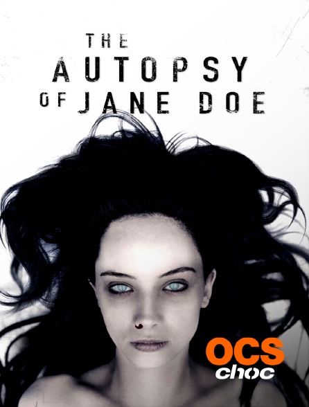 Jane Doe Identity Streaming The Jane Doe Identity en Streaming sur OCS Choc - Molotov.tv