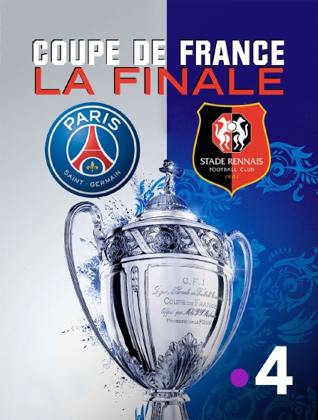 Football - Coupe de France : Paris-SG / Rennes en ...