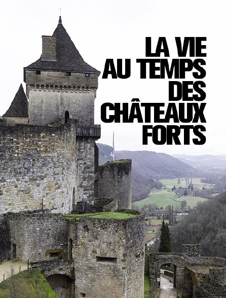 Regardez La Vie Au Temps Des Châteaux Forts Avec Molotov - 