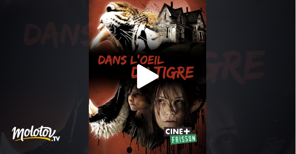 Dans L Oeil Du Tigre Streaming Dans l'oeil du tigre en Streaming - Molotov.tv