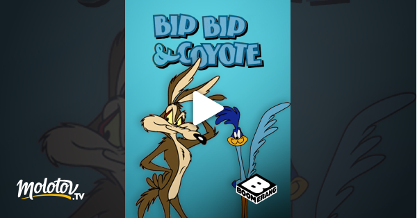 Bip Bip Et Vil Coyote En Streaming Sur Boomerang Molotovtv