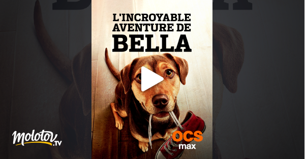 L Incroyable Aventure De Bella Streaming L'incroyable aventure de Bella en Streaming - Molotov.tv