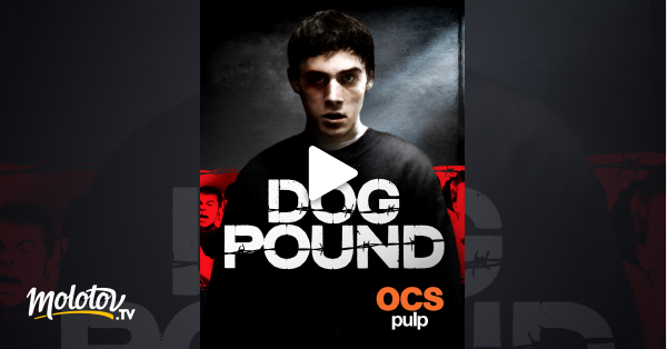 Dog Pound Streaming Vf Dog Pound en Streaming - Molotov.tv