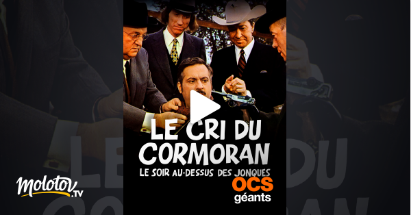 le cri du cormoran le soir au dessus des jonques en streaming sur ocs geants molotov tv