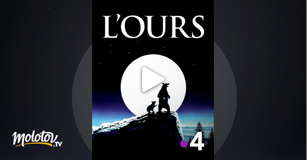 Film L Ours Streaming L'ours en Streaming - Molotov.tv