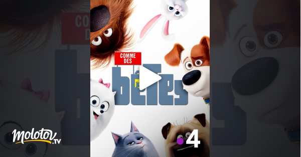 Max Le Geant Film Complet En Francais Comme des bêtes en Streaming - Molotov.tv