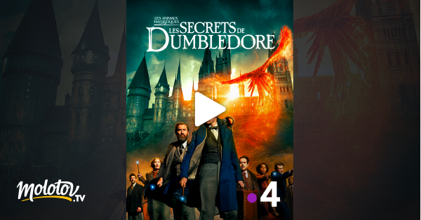 Les Animaux Fantastiques Les Secrets De Dumbledore En Streaming Gratuit Sur France