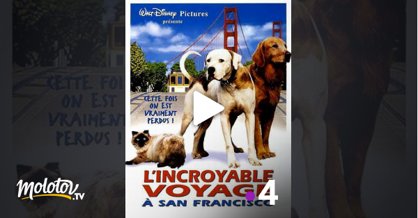 L Incroyable Voyage Streaming L'incroyable voyage à San Francisco en Streaming - Molotov.tv