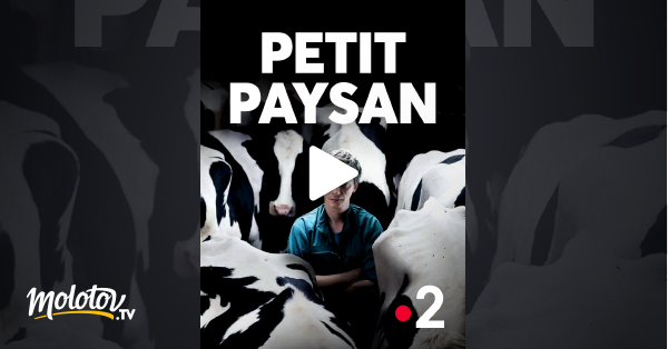Le Petit Paysan Streaming Vf Petit Paysan en Streaming - Molotov.tv