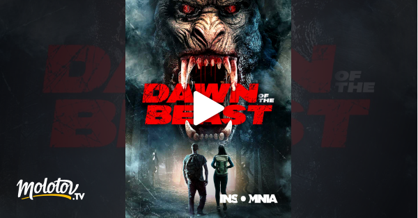 Dawn of the beast en streaming sur INSOMNIA