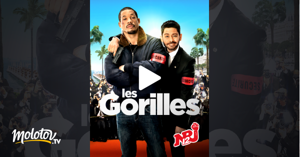Les Gorilles En Streaming Les gorilles en Streaming - Molotov.tv