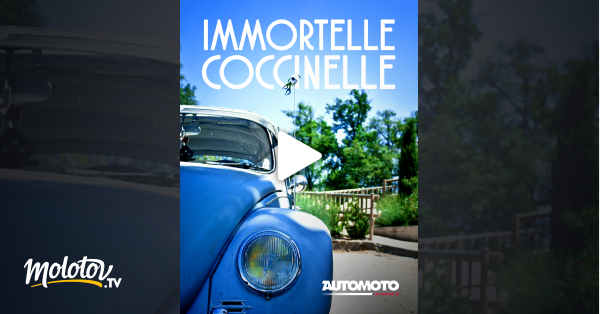 Immortelle Coccinelle en streaming sur Automoto