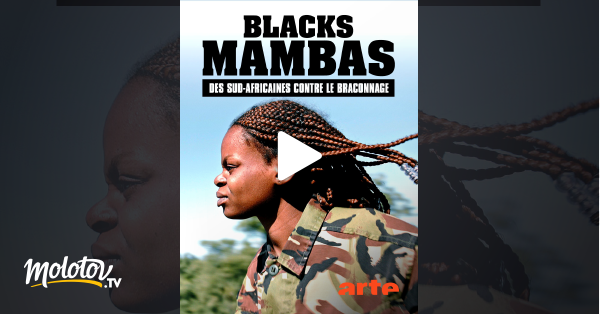 Blacks Mambas : Des Sud-Africaines Contre Le Braconnage En Streaming ...