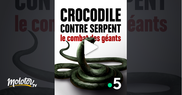Le Serpent En Streaming Crocodile contre serpent : le combat des géants en Streaming - Molotov.tv