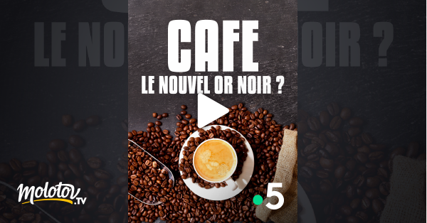 Or Noir Streaming Vf Café, le nouvel or noir ? en Streaming - Molotov.tv