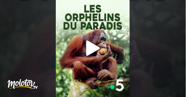 Les orphelins du paradis en streaming gratuit sur France 5